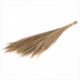 F.SECA, Broom grass 100gr 65cm natural  CRAFT