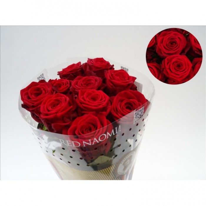 FLOR, ROSA HO. RED NAOMI  80cm., x10 SANT JORDI