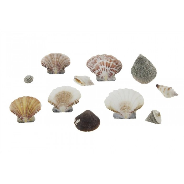 MAR, PETXINA PETITA MIX Bossa 1 Kg