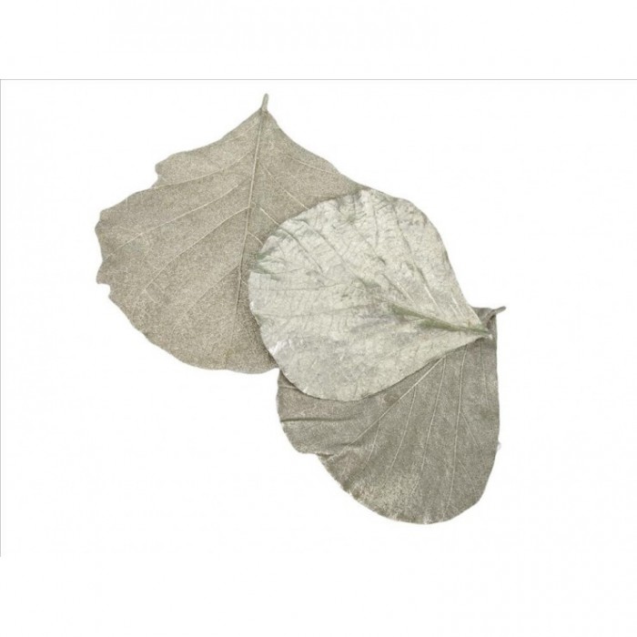 HOJAS GYNKO PLATEADAS 20 UNI