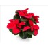 POINSETTIA   M14 CHRISTMAS MOUSE