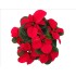 POINSETTIA   M14 CHRISTMAS MOUSE