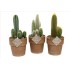 CACTUS TERRACOTA Lava M13 MIX