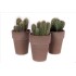 CACTUS TERRACOTA Lava M13 MIX