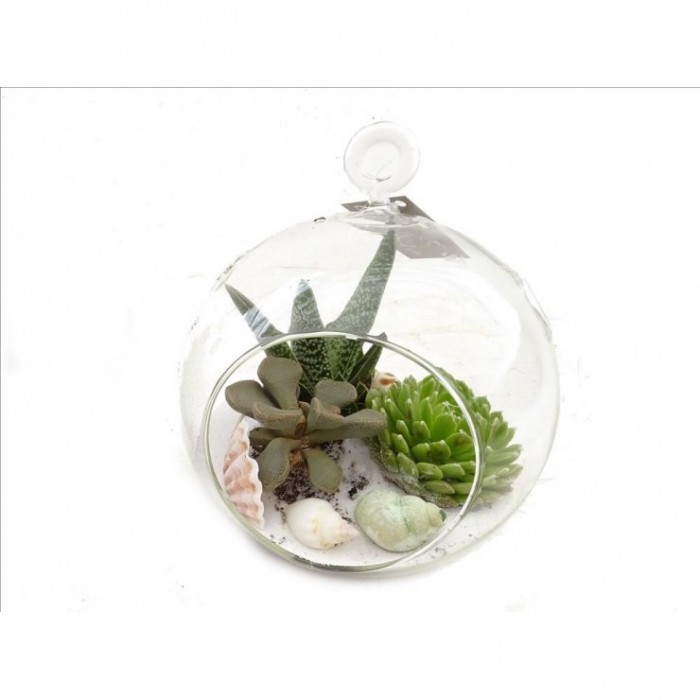 CENTRE PENJANT BOLA PLANTA CRASSA PEQUEÑA