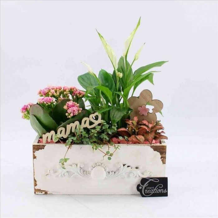 CENTRO PL VARIADA CAJON D25 H35 rosa