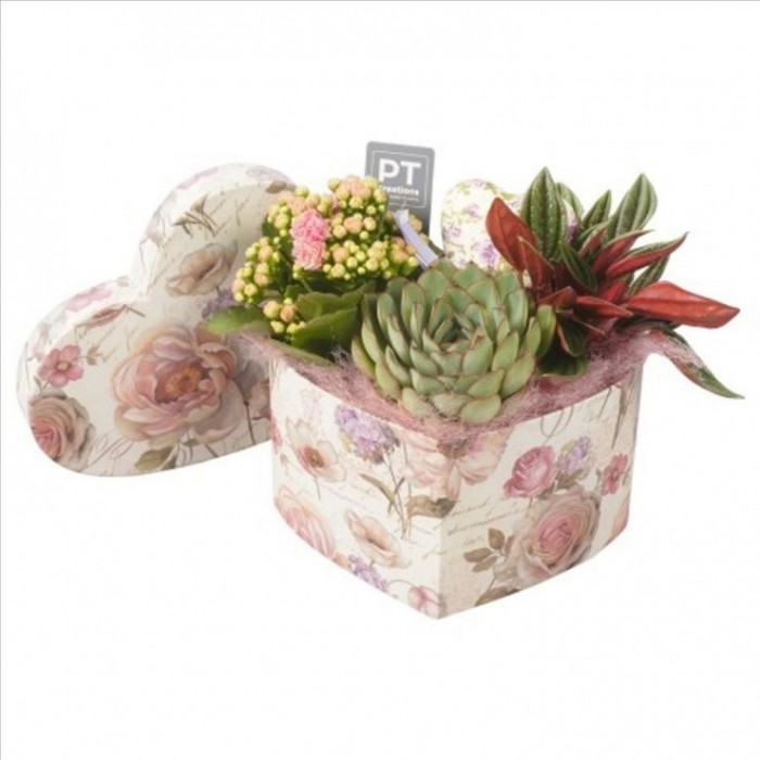 CENTRE PL VAR SOMBRERERA COR ROMANTIC D19 H19