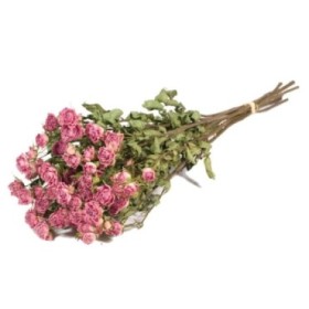 F.SECA, Roses spray rosa palid  CRAFT