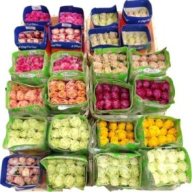 ROSA ECUADOR,  60cm. x25 COLORS