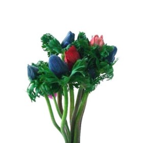 FLOR, ANEMONAS paq. x10