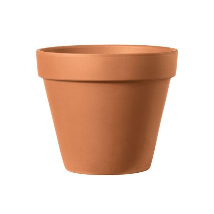 FANG TEST Diam 07cm CAIXA 48 UNITATS