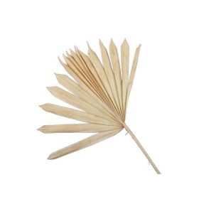 F.SECA, FULLA PALMERA TARONJA PALIDA 5 pcs