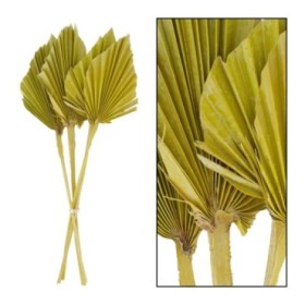 F.SECA, Palm spear M amarilla 36x18cm 4pc