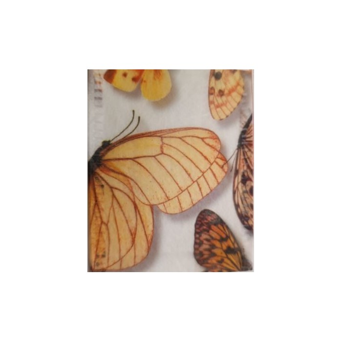 CINTA PAPALLONA TRJ  70 x 25m