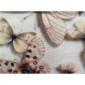 CINTA FIBRA mariposas 70mm x 25m natural