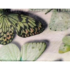 CINTA FIBRA mariposas 70mm x 25m VERD