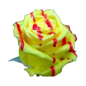 FLOR, ROSA ENCERADA SENYERA 75cmx10 RESERVA S.JOR