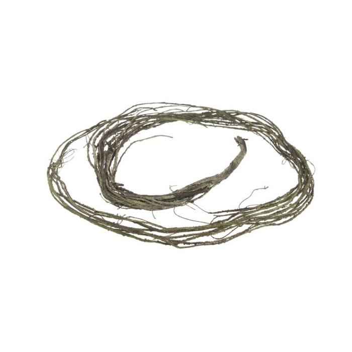 BRANQUES ARRISSADES ESCUMA 1pc 160cm Verd