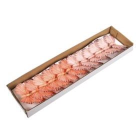 PAPALLONES CLIP 12UNI TRJ-TRJ 8,5x7 cm