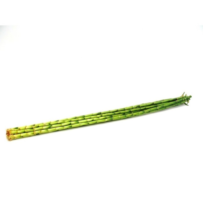 BAMBU  canyes 100cm.