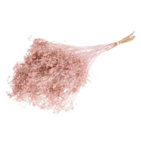 F.SECA, Broom bloom pom rosa palid CRAFT