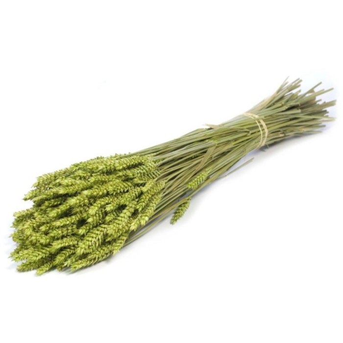 F.SECA, Tarwe verde  CRAFT