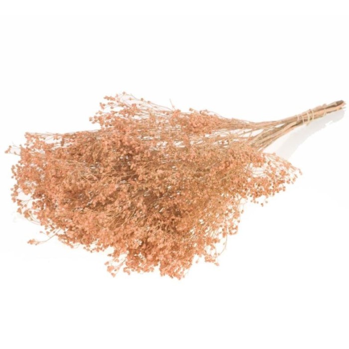 F.SECA, Broom bloom coral palid CRAFT