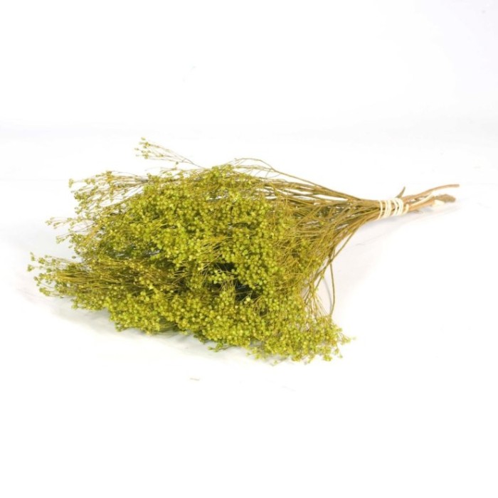 F.SECA, Broom bloom pomo verde CRAFT