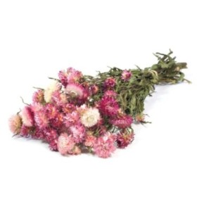 F.SECA, Helichrysum ROSA NATURAL
