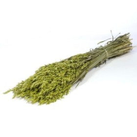 F.SECA, Haver (avena) verde CRAFT