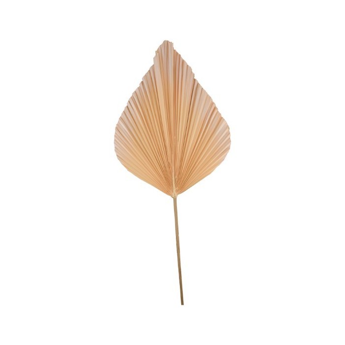 F.SECA, HOJA PALMERA M NARANJA 100x40x1cm PLATA