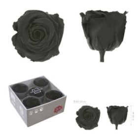 ROSA PRESERVADA SENSE TIJA NEGRA CAIXA 5 UNI