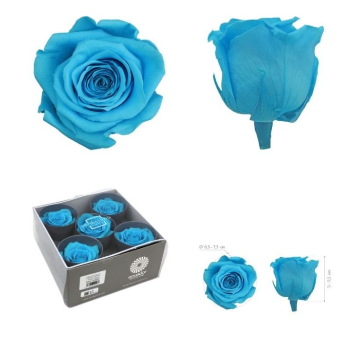 ROSA PRESERVADA SENSE TIJA BLAU TURQUESA CAIXA 5U