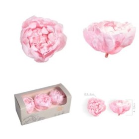 PEONIA PRESERVADA ROSA PASTEL 3UN