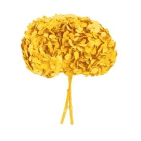 HORTENSIA PRESERVADA  AMARIILO SUAVE D16-20CM UNI