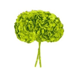 HORTENSIA PRESERVADA VERDE PISTACHO D16-20CM UNI