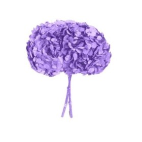 HORTENSIA PRESERVADA LILA D15-20CM UNI