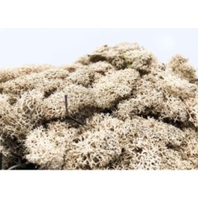 MUSGO PRESERVADO NATURAL 500gr