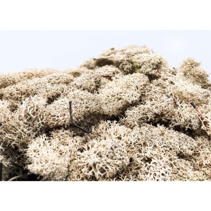 MOLSA PRESERVADA NATURAL 500gr