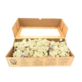 MUSGO PRESERVADO NATURAL 500gr