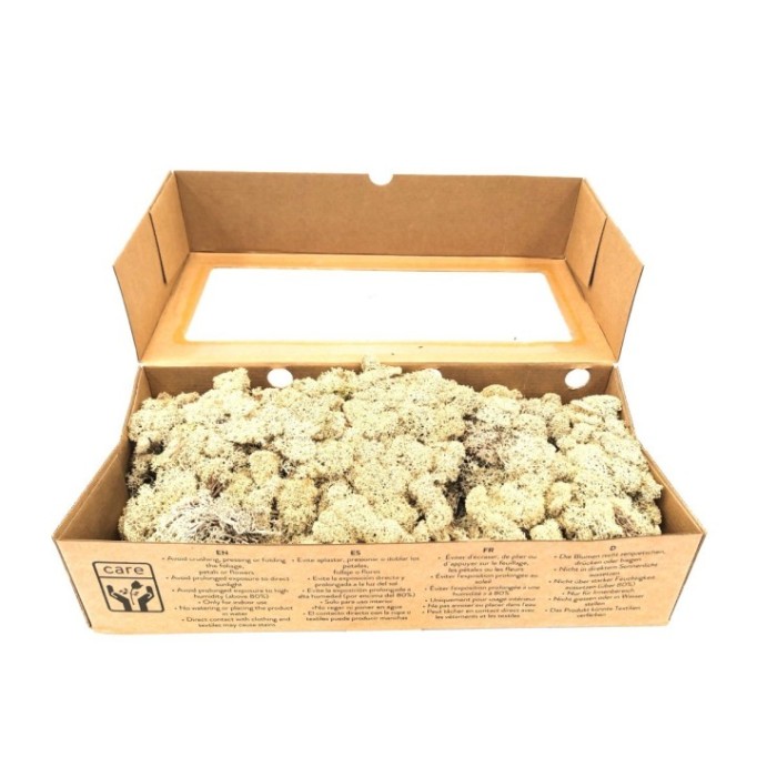 MOLSA PRESERVADA NATURAL 500gr