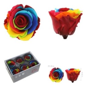 ROSA PRESERVADA SENSE TIJA RAINBOW CAIXA 6UN