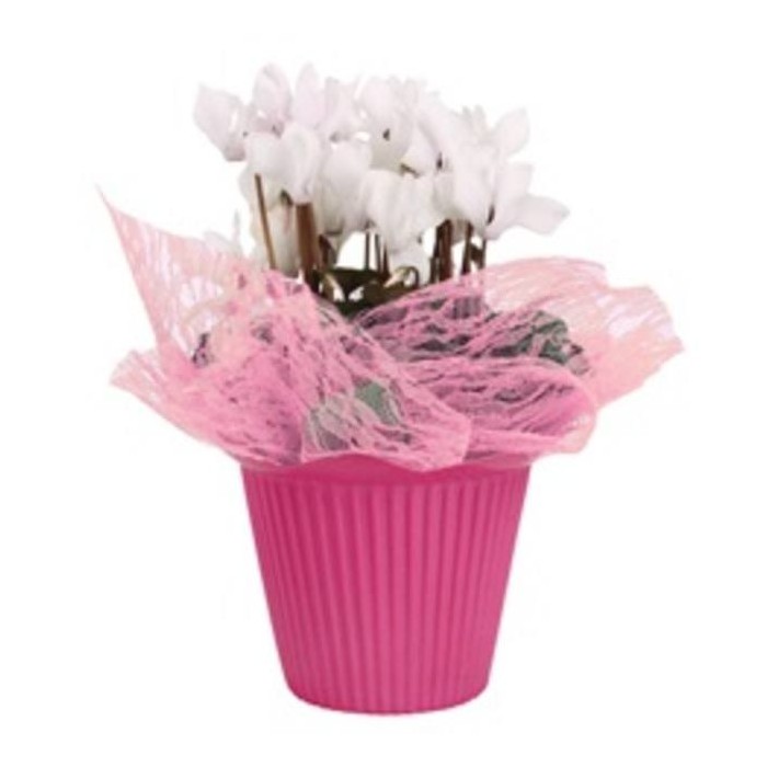 HOJA MALLA Lace 40x40 ROSA (paq.x100)