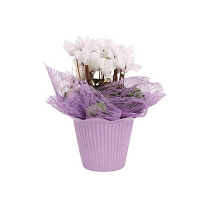 HOJA PAPEL MALLA Lace 50x50 LILA (paq.x100)