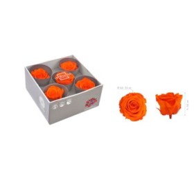 ROSA PRESERVADA SENSE TIJA TARONJA CX 5UNI