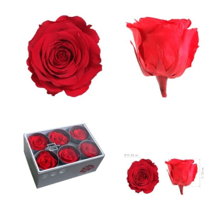 ROSA PRESERVADA SENSE TIJA VERMELLA CAIXA 6UN