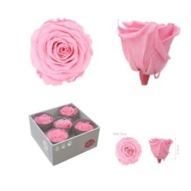 ROSA PRESERVADA SENSE TIJA ROSA PASTEL CAIXA 5 UNI