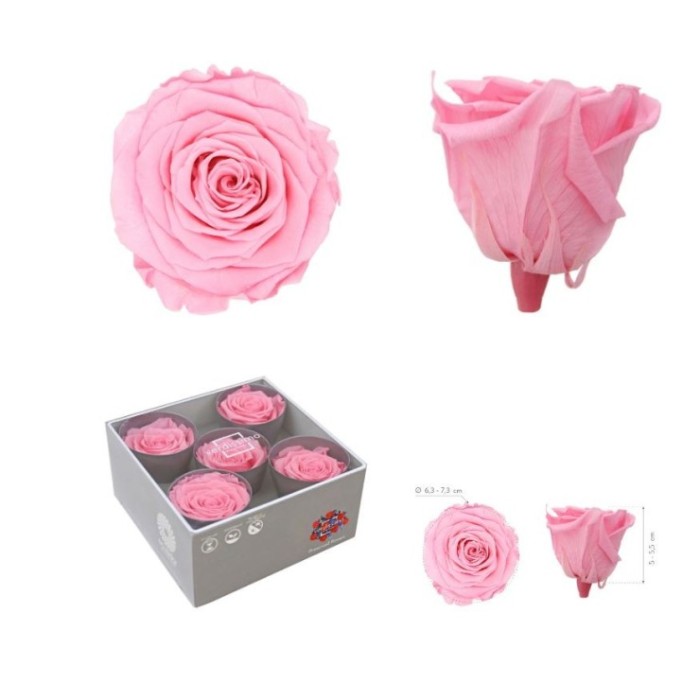 ROSA PRESERVADA SENSE TIJA ROSA PASTEL CAIXA 5 UNI