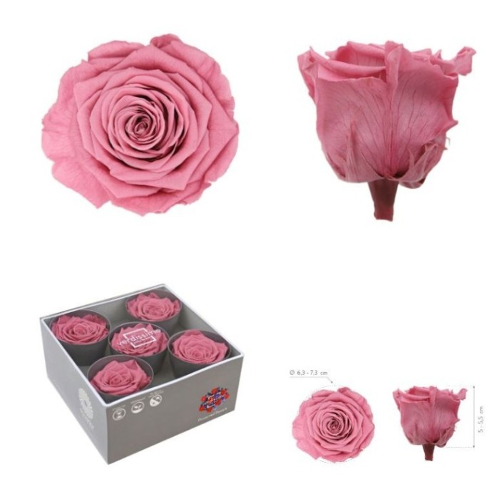 ROSA PRESERVADA SENSE TIJA CHERRY VINATGE CX 5UNI