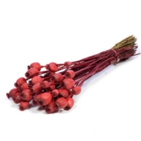 F.SECA, Papaver rojo  CRAFT